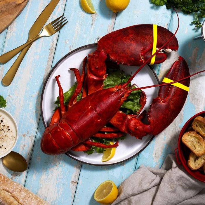 Fresh and best quality Seafood Frozen Lobster,Raw Lobsters, Lobsters with Highest Export Quality at best market price