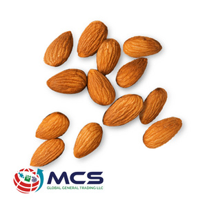 100% High quality Organic Almond kernel dried and roasted  almond shaped pistachio natural flavor bulk nuts in reasonable price