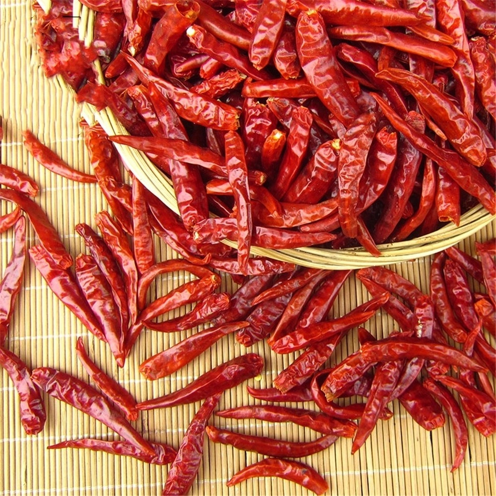 Wholesale price Dried Whole Red Chilli AND Red Chilli 100% Premium Quality For Export wholesale price