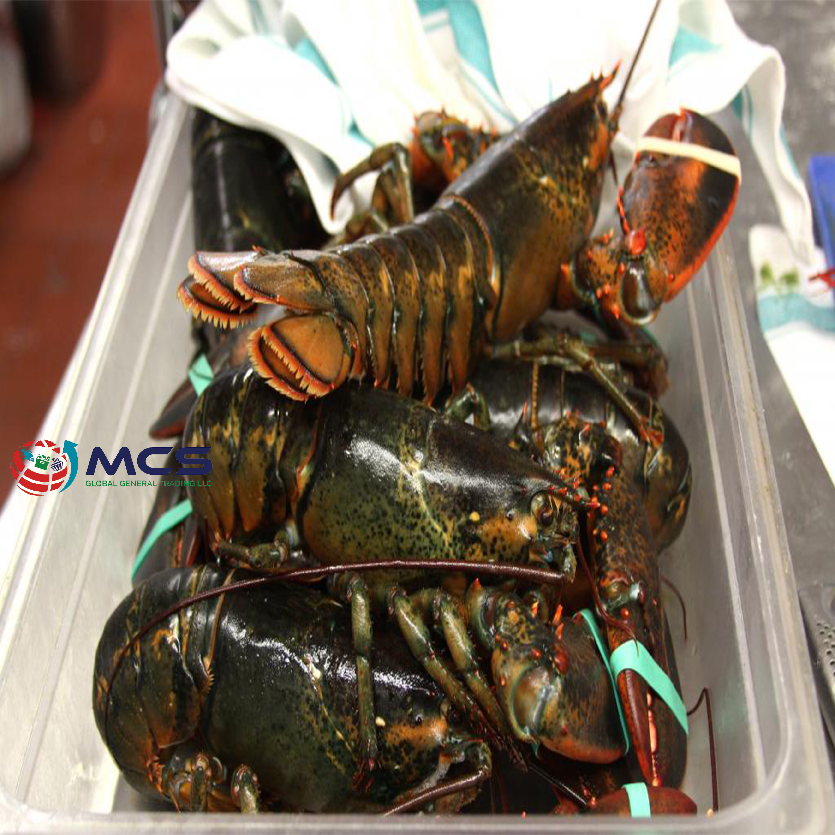 Top sale Frozen Lobsters with Highest Export Quality at best market price wholesale Fresh Frozen Lobsters