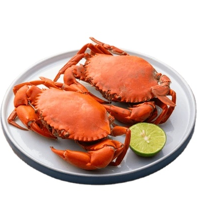 Best Dealer Of premium quality mud crab seafood At Low Prices live mud crab live mud crab for wholesale