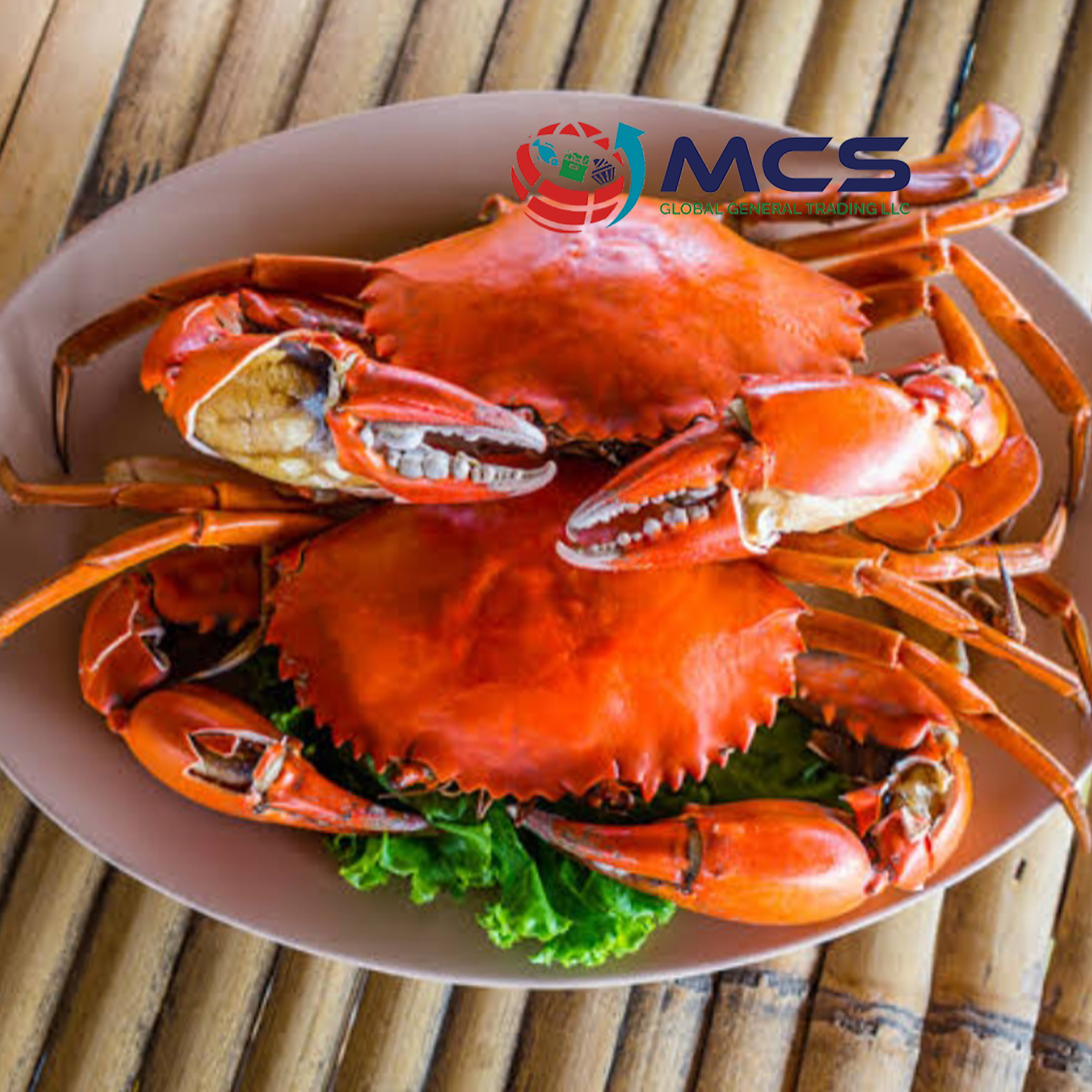 Best Dealer Of premium quality mud crab seafood At Low Prices live mud crab live mud crab for wholesale