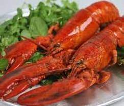 Fresh and best quality Seafood Frozen Lobster,Raw Lobsters, Lobsters with Highest Export Quality at best market price