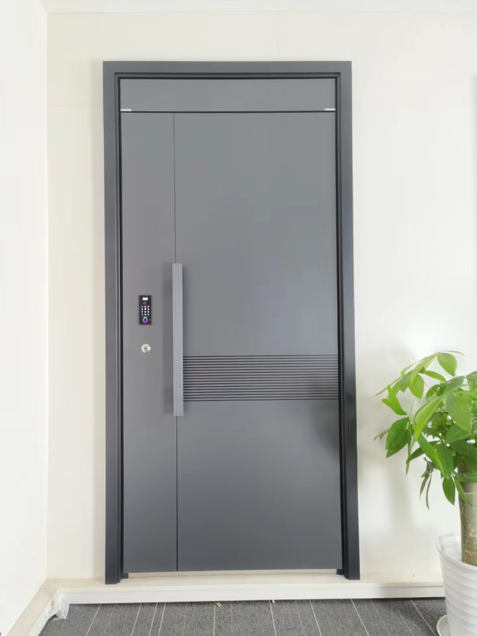 Good Quality For Made In China Steel Main Entrance Door Design For House