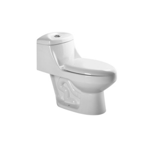 Medyag MJ-P-3003 South America Toilet Set S-trap 300mm Siphon One Piece Toilet