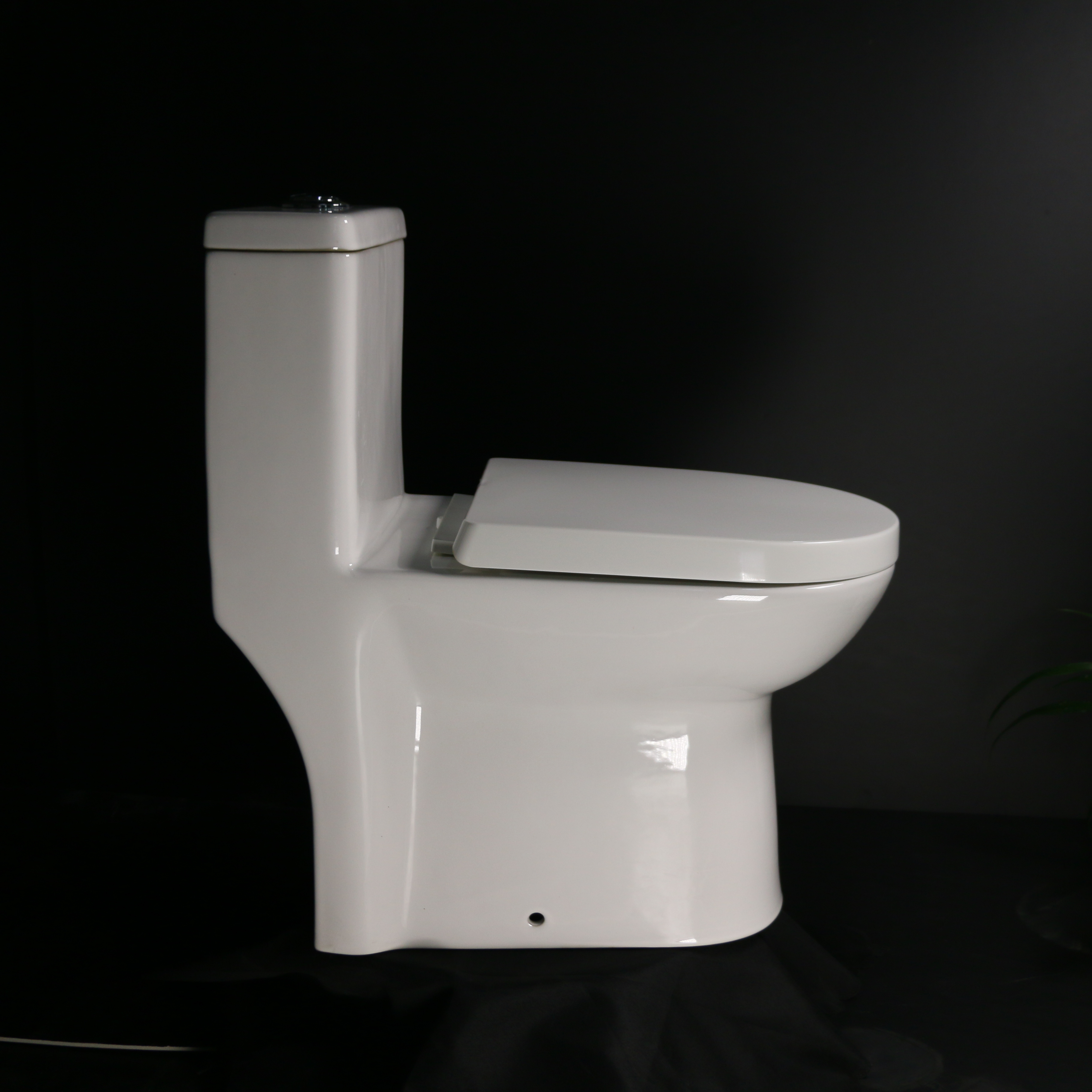 Medyag Dual Flush Elongated Rimless One-Piece Toilet Bowl Power Flushing Bathroom Ceramic Toilet