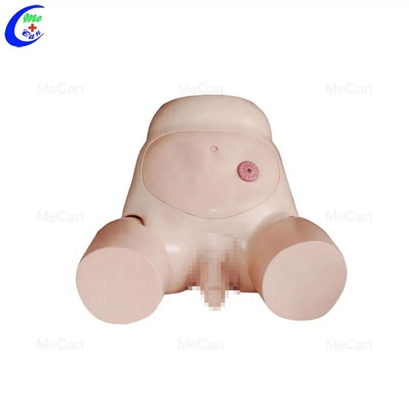 Medical Simulation Urinary Catheter Training Model Male Female Urethral Catheterization Simulator