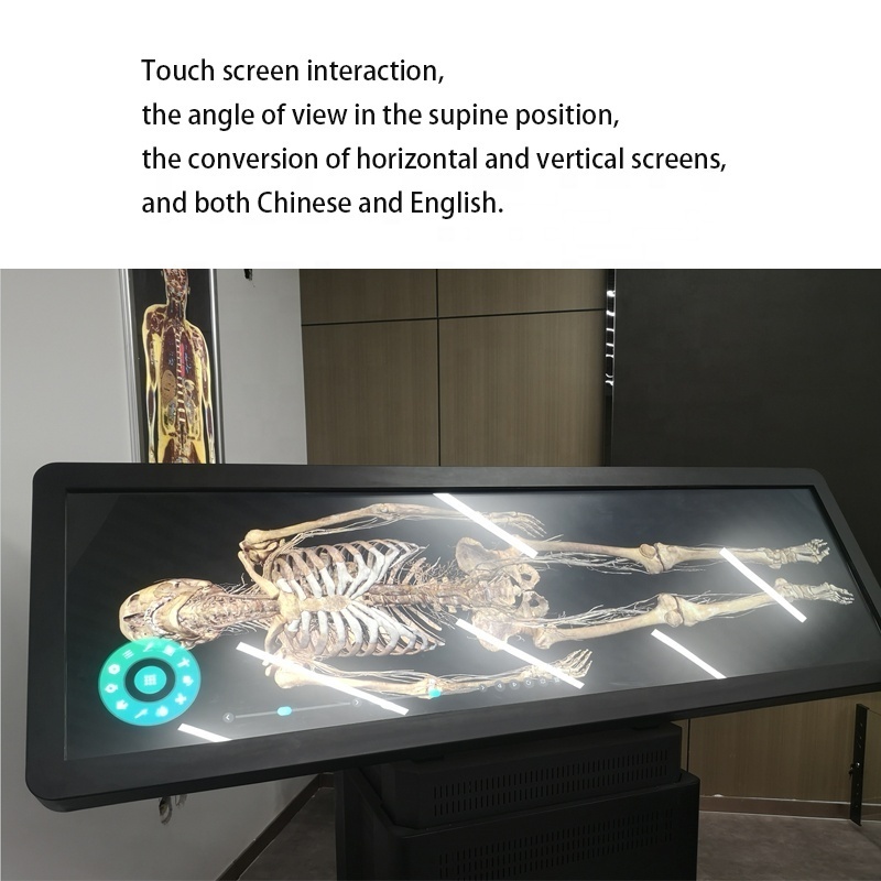 Digital Human Virtual Anatomage Table University Human Virtual 3D Anatomy Dissection Table