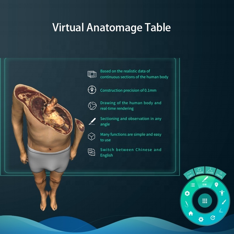 Digital Human Virtual Anatomage Table University Human Virtual 3D Anatomy Dissection Table