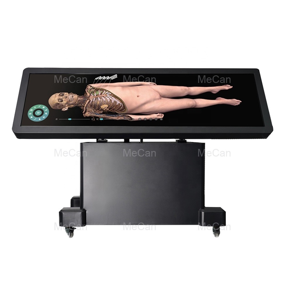 Human Virtual Anatomage 3D Anatomy Table Digital Human Body Virtual Autopsy Dissection Table for School