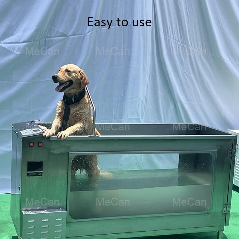 Dog Treadmill Walking Machine Pets Hydro Water Treadmill for Dogs