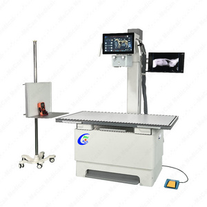 China Detector Panel Plano Digital De Rayos X Medical Diagnostic X Ray System  20 32 Kw Animal  X Ray Machine For Hospital