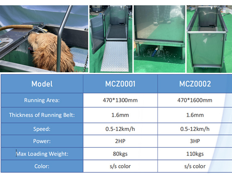 Large Dog Water Treadmill Machine Hydrotherapy Underwater Treadmill for Dog