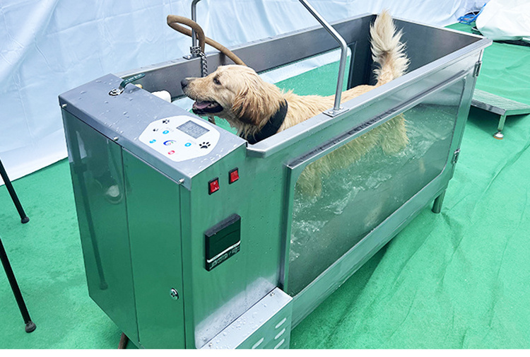 Large Dog Water Treadmill Machine Hydrotherapy Underwater Treadmill for Dog