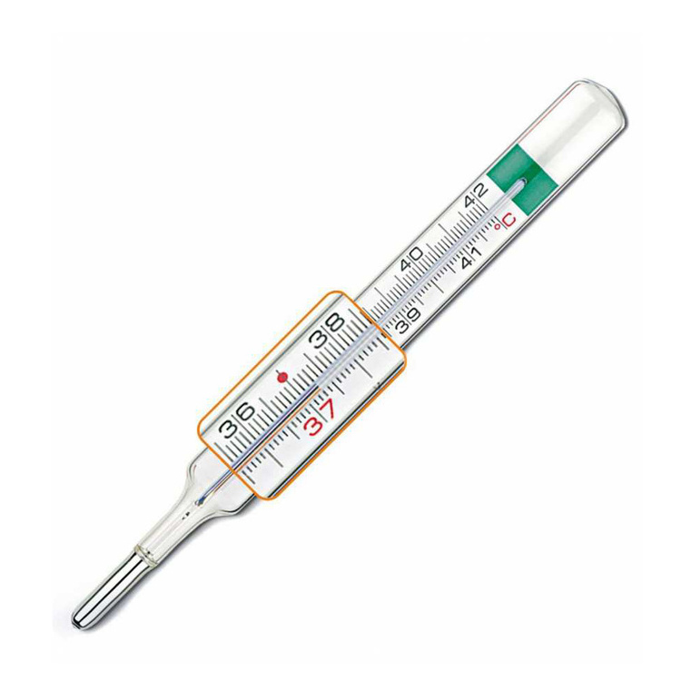 Cheap Price Oral Armpit Big size Mercury Mercury free Gallium Glass Clinical Thermometer