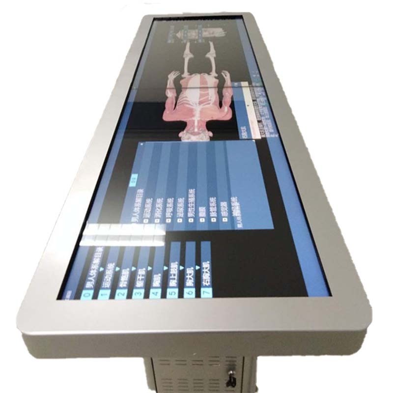 3D Body Human Anatomy Virtual Autopsy Table Teaching System with Projector