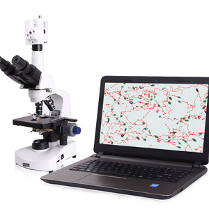 Animal sperm collector/Veterinary sperm analysis