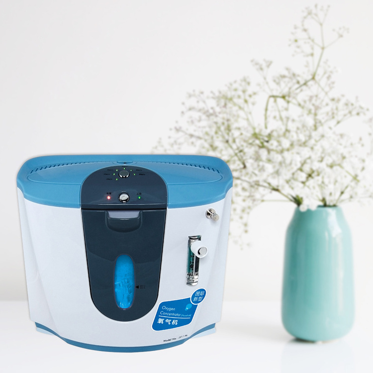 Promotion Price High Purity 93% 220V Oxygen Concentrator Machine Portable 1L Oxygen Concentrator