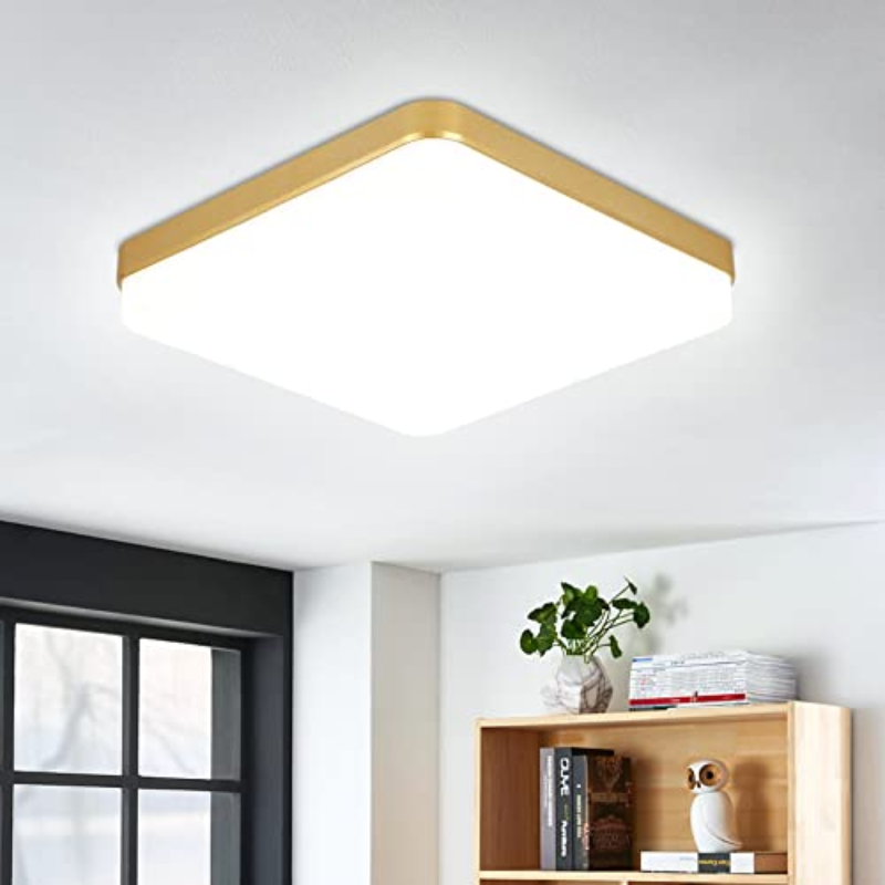 Dimmable LED Ceiling Light Fixture with Remote Control, Slim Modern Ceiling Lamp for Bedroom Kitchen