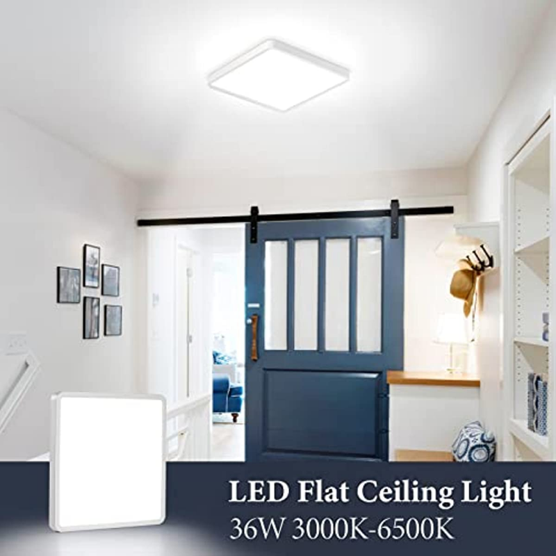 Dimmable LED Ceiling Light Fixture with Remote Control, Slim Modern Ceiling Lamp for Bedroom Kitchen