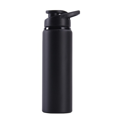 Wholesale High Quality Custom Logo 750ml Aluminum Sport Water Bottle Promotional Aluminum Water Bottle With Handle