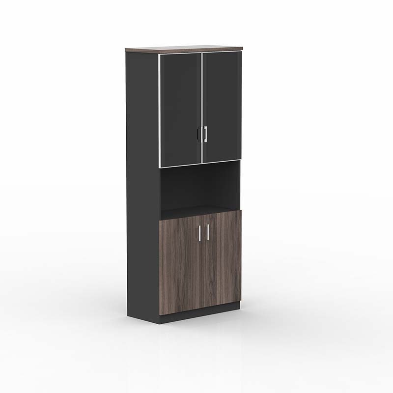 Metal Office Furniture Steel Storage Cabinet With AdjustableShelf Wholesale 2 Doors Filing Cabinet