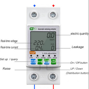 TUYA WIFI  Micro circuit breaker 63A Power metering MCB overload protection 2P air switch with screen display