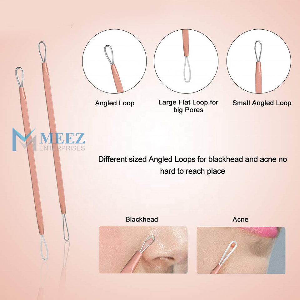 Affordable Price Stainless Steel Blackhead Extractor In Rose Gold Professional Beauty Tool For Girls