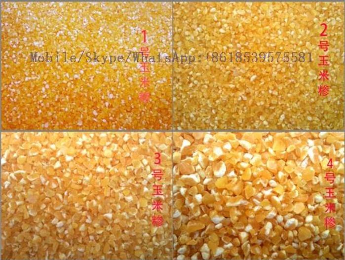 Nice price maize cornflour mill plant /corn semolina processing machine for maize grits