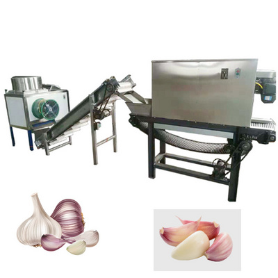 Stainless Steel 1000kg/h Garlic Skin Remover/small Garlic Peeling Machine/Chain Type garlic Skin Peeler