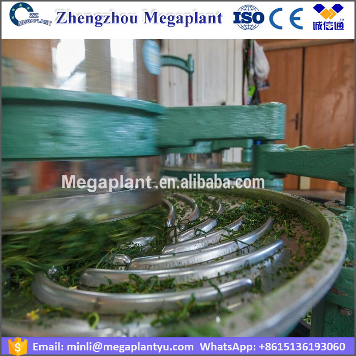 Automatic electric grape tea leaves rolling roller machine for sale price