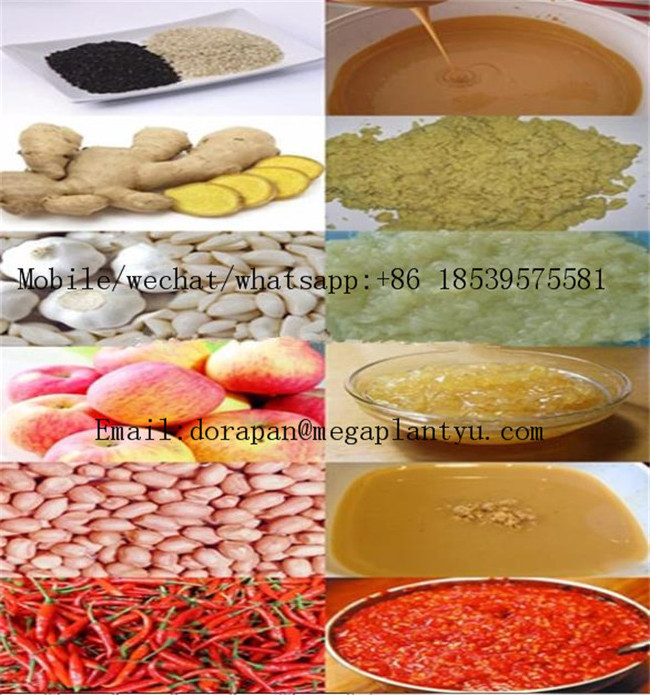 Industrial 20-30kg/h Chilli Sauce Grinding Making Machine/ Red Chilli Paste Grinder / Colloid Mill For Chili Paste