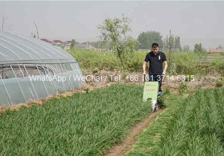 Celery Harvester Cabbage Leak Harvester Celery Parsley Reaping Machine For Price