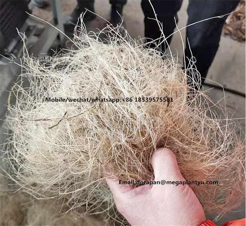 Philippine coconut coir fiber making machine electric coconut grater machine grinder coconut shell shredding grater machine