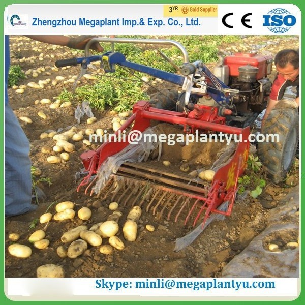 single-row sweet potato harvester machine used for tractor for sale