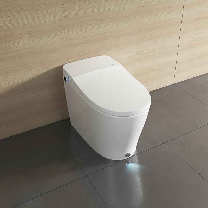 DB80 Modern Intelligence Smart Toilet 	bidet smart toilet with remote automatic WC Toilet Soft Close Lid