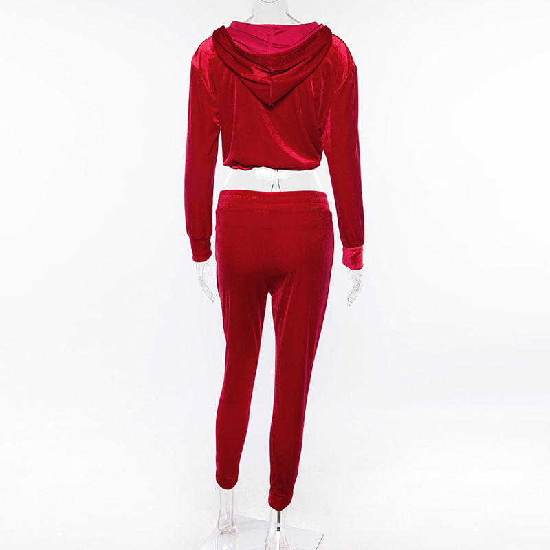 Sexy Ladies Velvet Tracksuit Women Velvet Long Sleeve Cropped Hoodie and Pants Two Piece Set Autumn Winter Sweat Suits