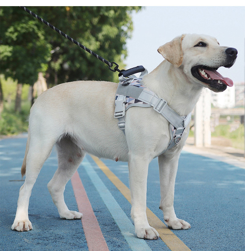 Reflective Dog Harness for Medium Large Dogs Adjustable Collar Breathable Pet Harness Vest Pasted Pet Name Dog Accessories