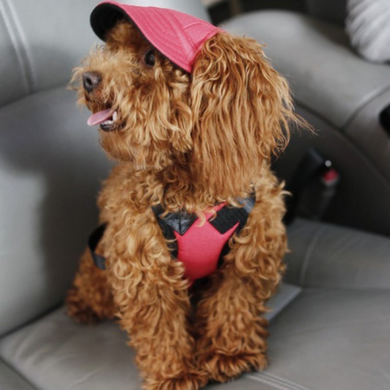 Pet fashion Dog Hat Baseball Cap With Ear Holes Windproof Travel Sports Canvas Sun Hats for Puppy Outdoor Sunscreen Accessories