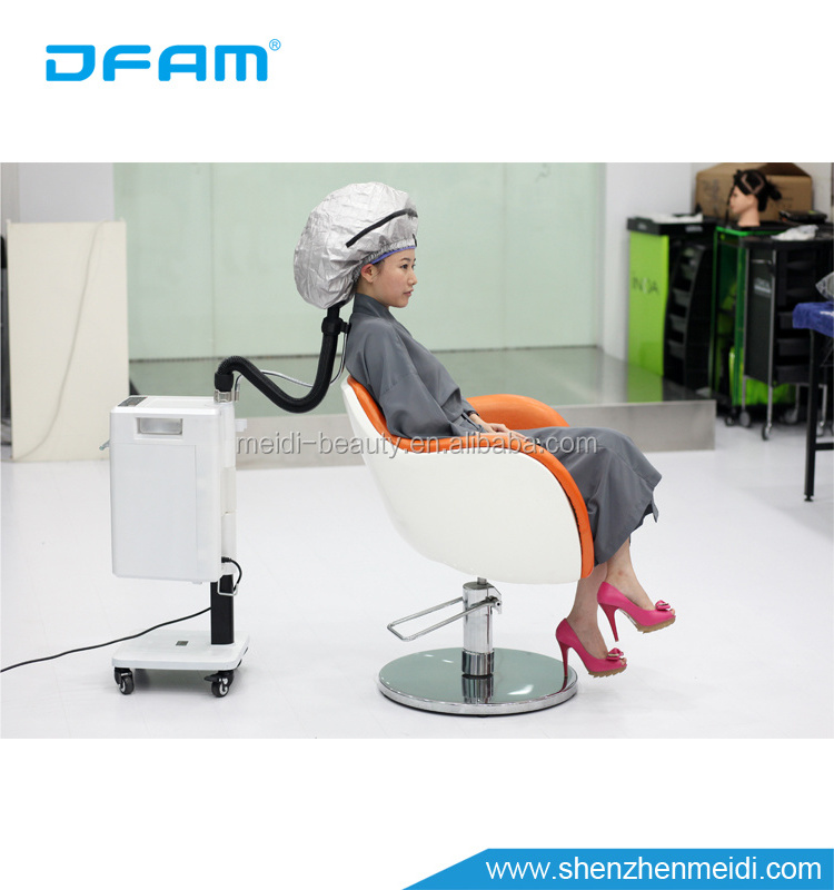 DFAM Portable mini micro mist hair steamer cap with facial steamer