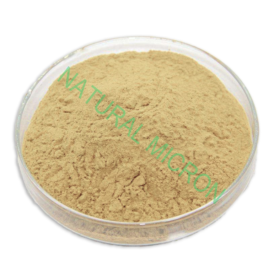 100% Natural Pure Organic   Avena sativa extract  Oat extract Oat Beta Glucan