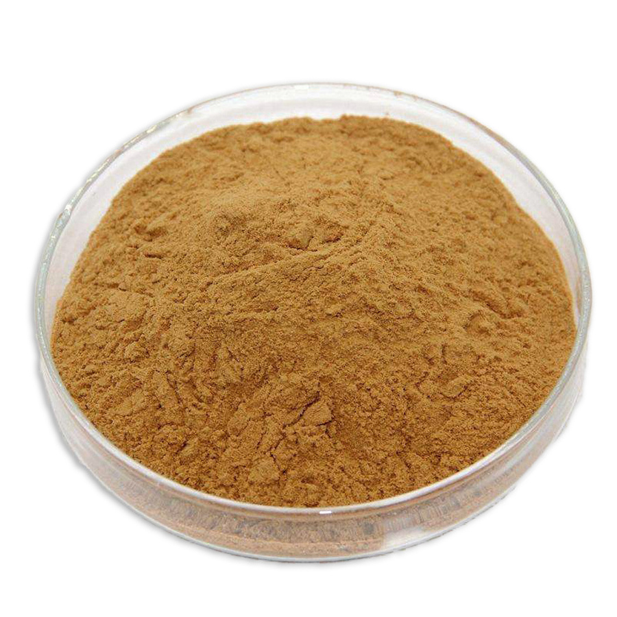 Plant Extract Pine Bark Extract CAS NO 133248-87-0