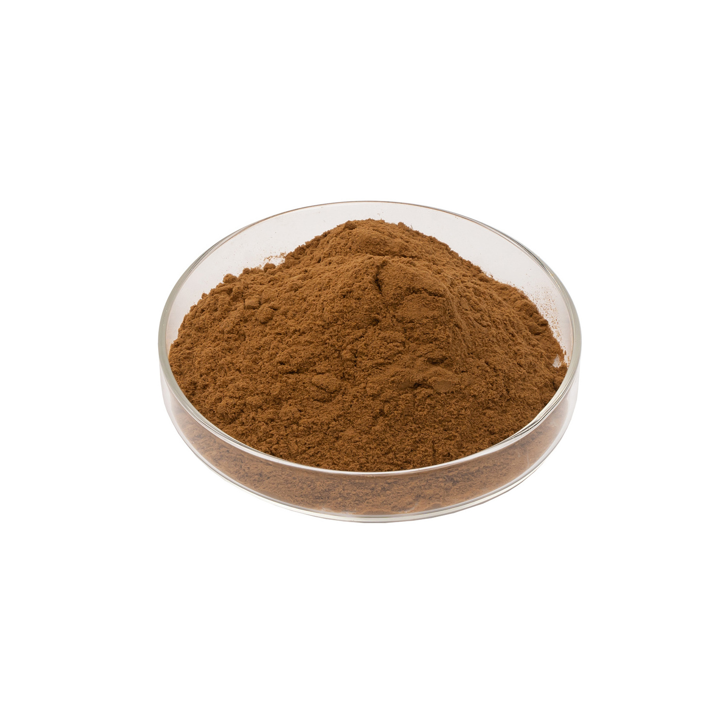 Food Grade Plant Extract Pine Bark