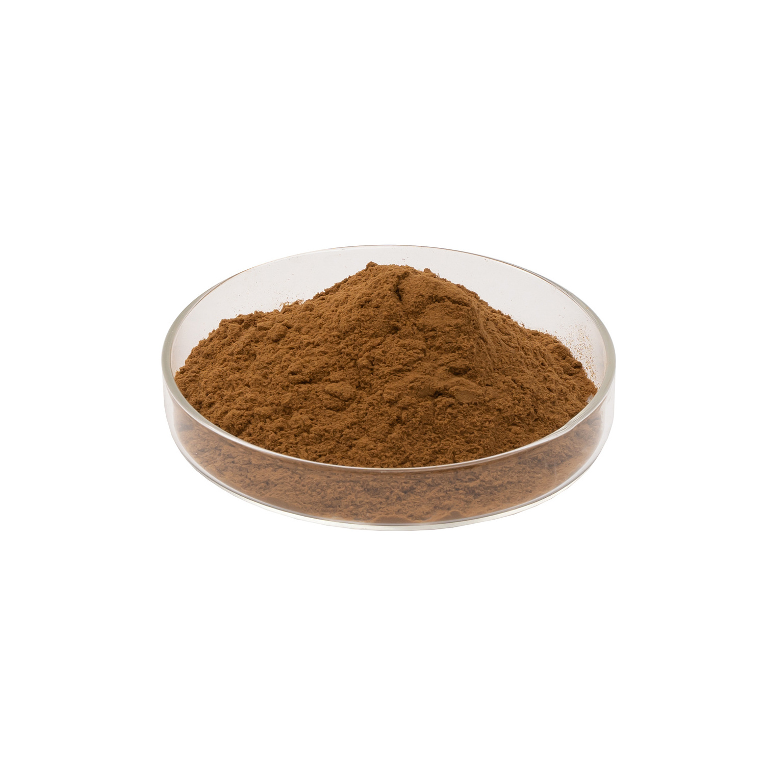 Food Grade Plant Extract Pine Bark