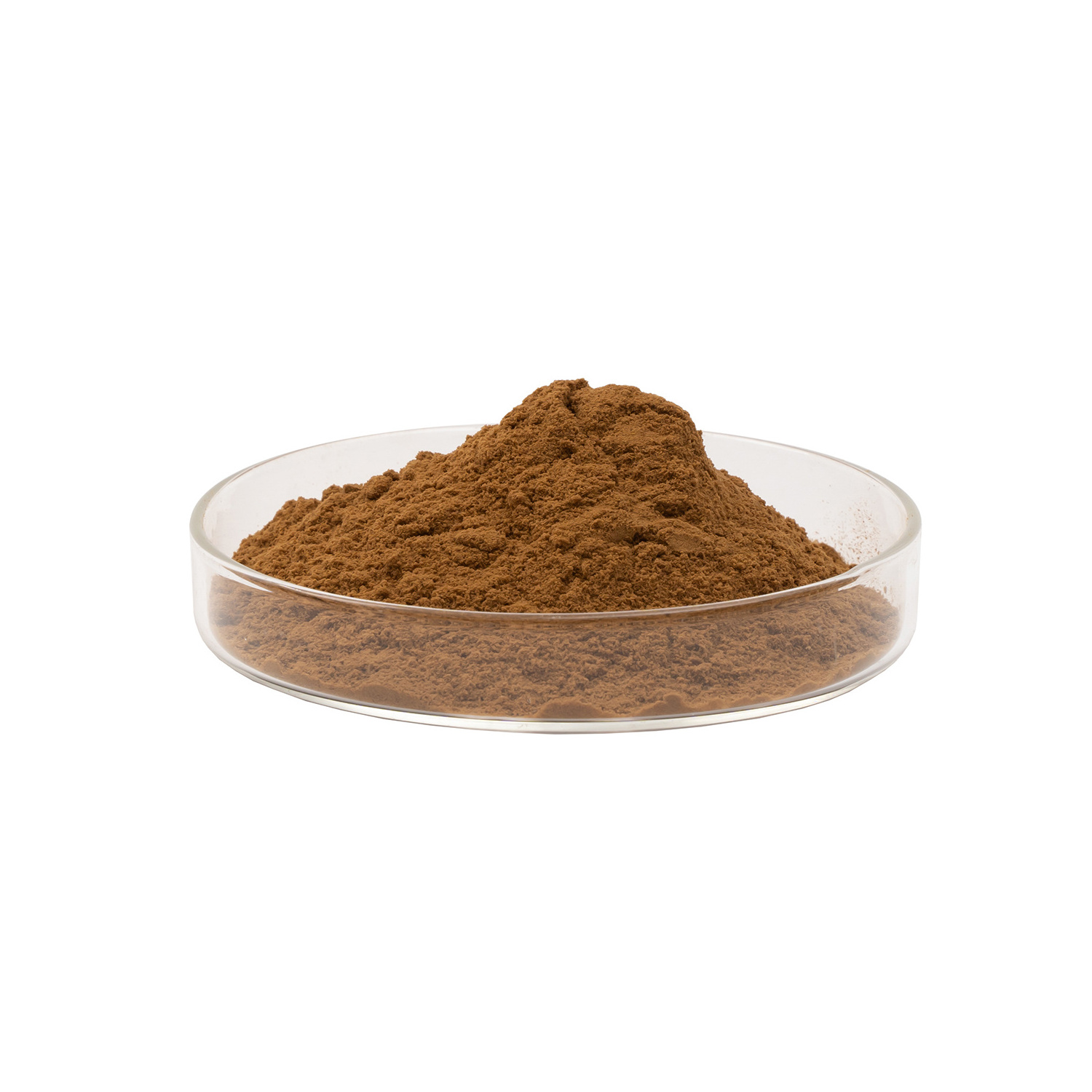 Food Grade Plant Extract Pine Bark