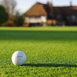 Heyuan Roll Synthetic Turf Golf Course Field Indoor Turf Artificial Grass For Golf Putting Greens