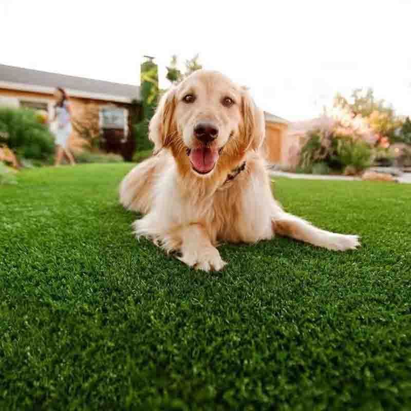 Customize Size Synthetique Pet Toilets Lawn Green Synthetic Turf Potty Pet Dogs Toilets Grass