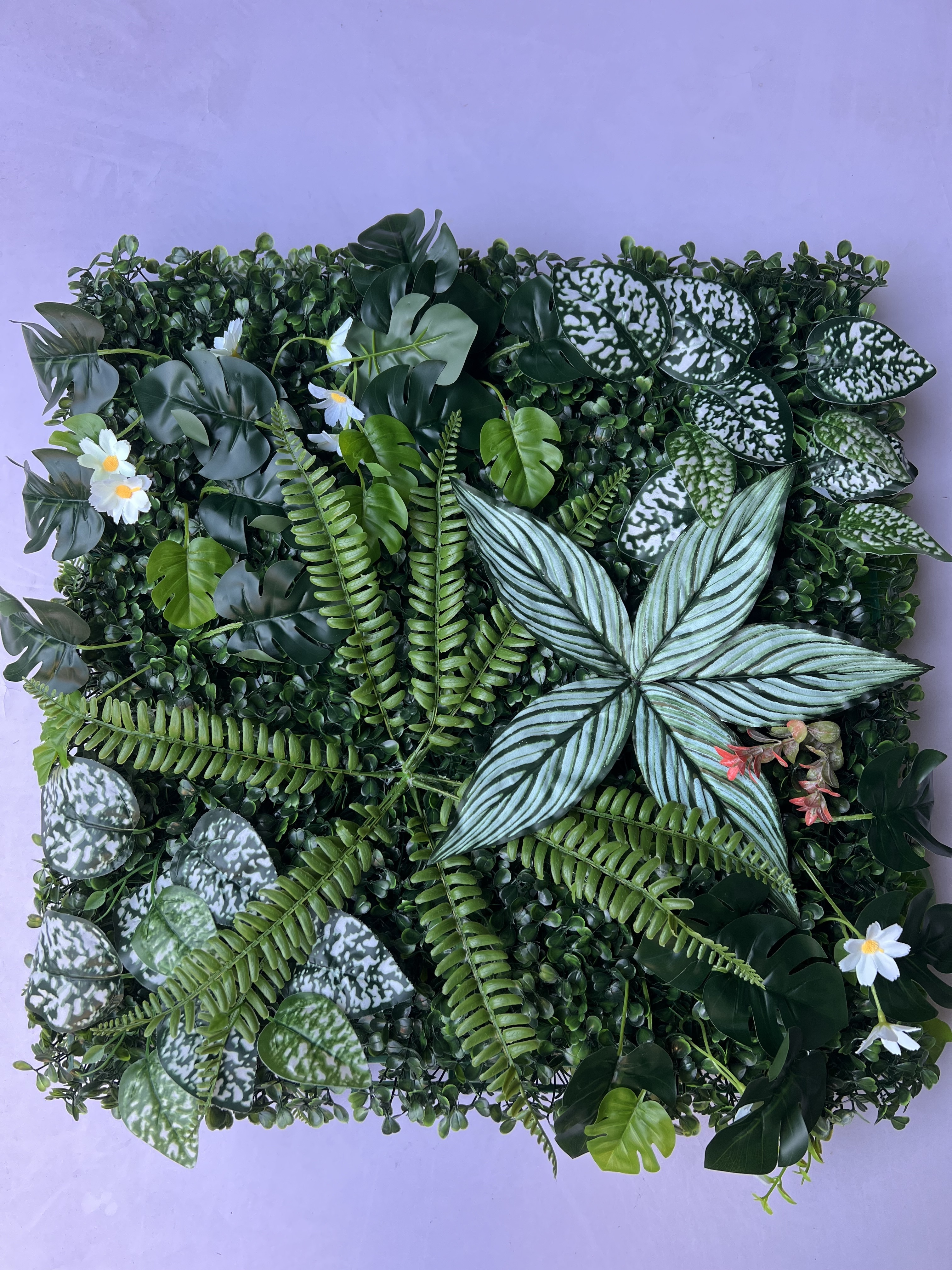 50*50cm Factory Direct Price 50*50Cm 3D green wall plants wall artificial