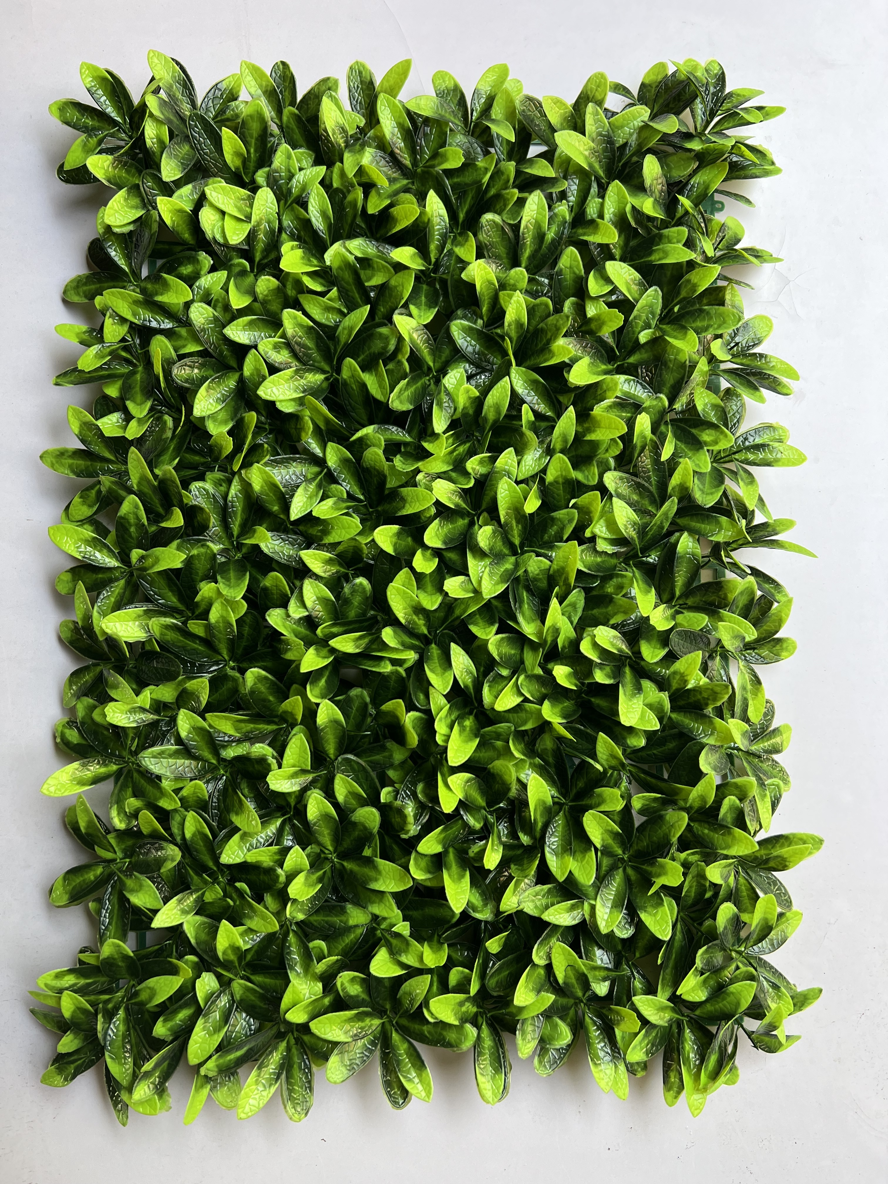 wall backdrop artificial wall grass plant wall