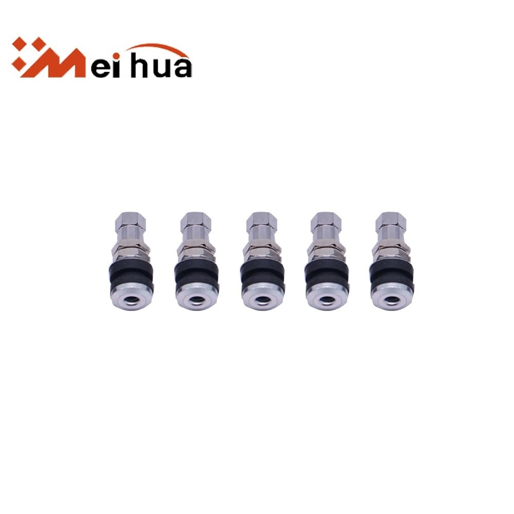 Silver and Zinc alloy stem TR161 tubeless tire valve for Small car valve tire